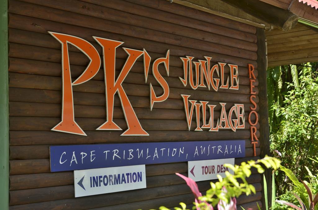 Pk'S Jungle Village Cape Tribulation Kültér fotó