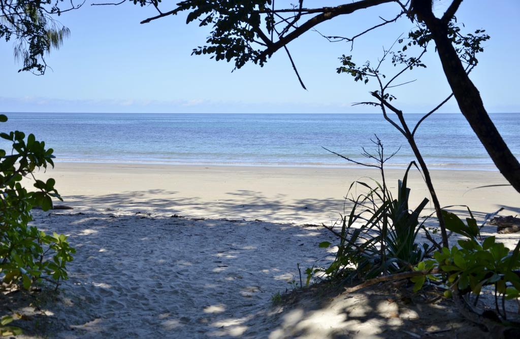 Pk'S Jungle Village Cape Tribulation Kültér fotó